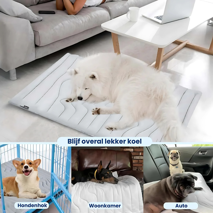 PolarPaws™ | Verkoelende ontspanning voor je hond!