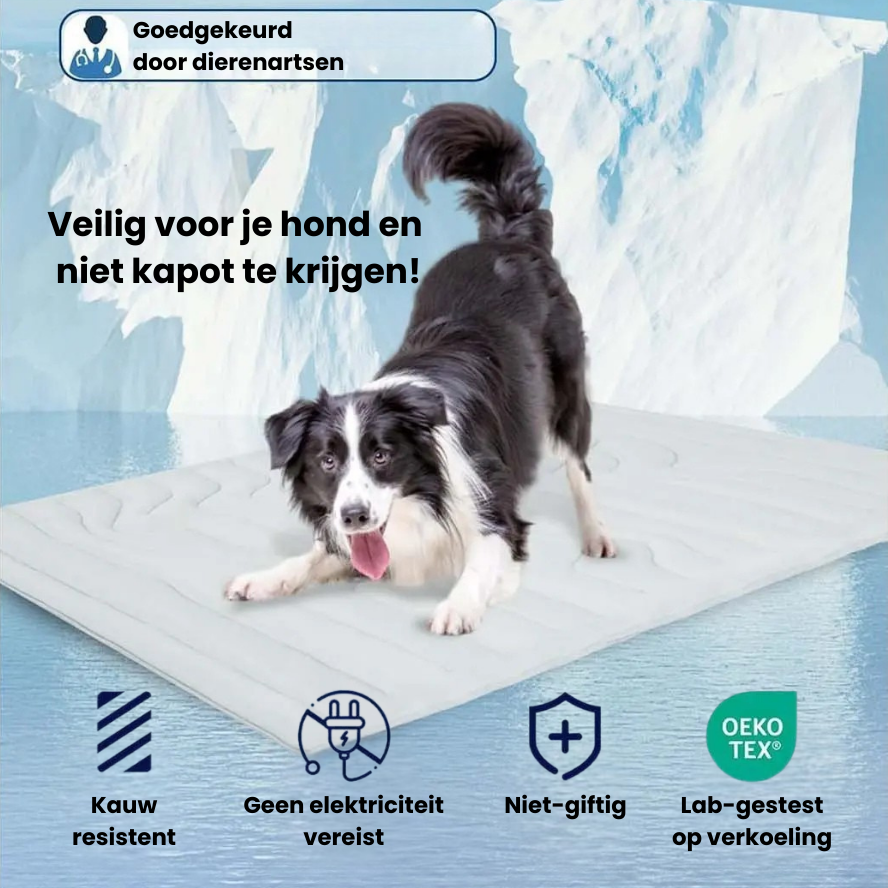 PolarPaws™ | Verkoelende ontspanning voor je hond!