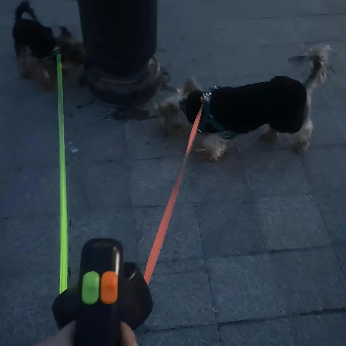 DuoWalk™ | Nooit meer in de knoop!